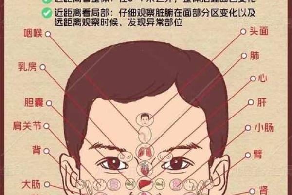 面部上的胎记算命分析