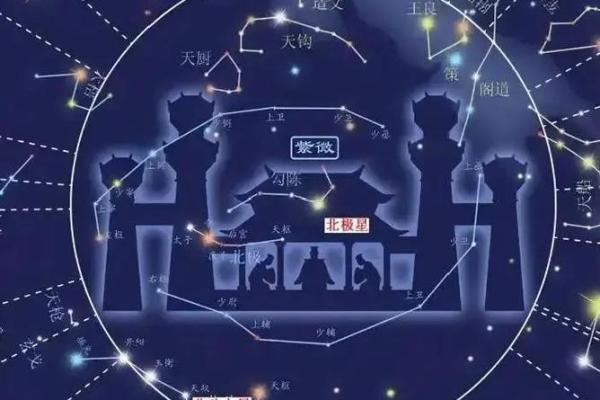 紫薇斗数的紫薇指什么