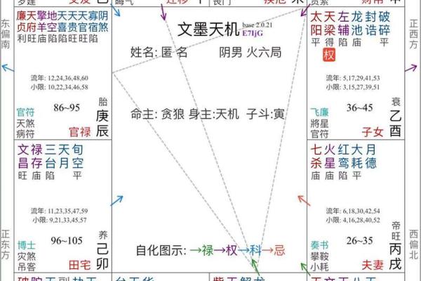 紫薇斗数盘类 紫薇斗数盘类