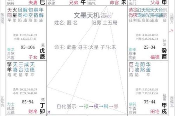 如何定紫薇星天府星