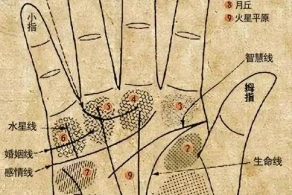 男人看手相算命财运怎么看 男人手中钱财纹多最有钱