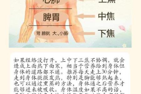 八字借火调候，如何更好地调理身体状态