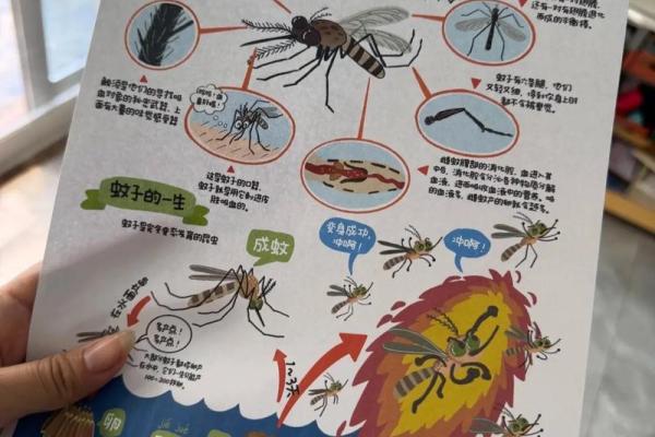 12星座的男生最害怕哪种昆虫