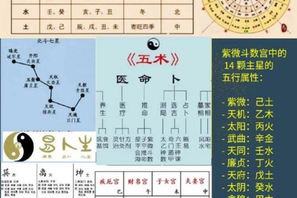 揭秘 紫微斗数VS八字：命理学中隐藏的惊人差异？