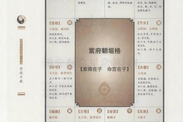 紫微斗数入门--身宫 紫微斗数入门--身宫