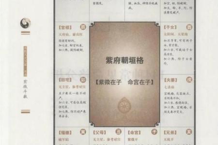紫微斗数入门--身宫
