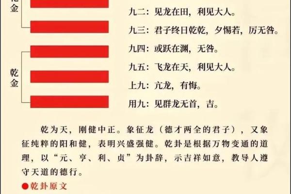 紫微斗数之八卦万物类象:乾卦详解 紫微斗数之八卦万物类象:乾卦详解