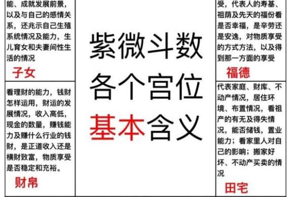 紫薇斗数外国人