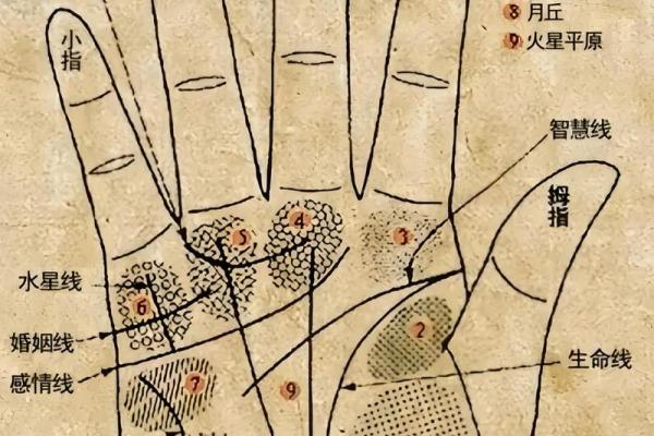 图解：手相小人纹如何算命