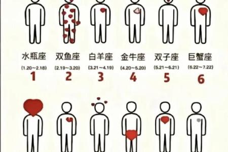 十二星座男生最爱摸女人哪个部位？