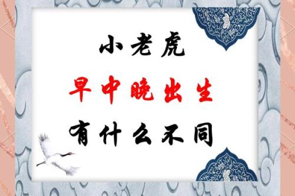 10月份出生的属虎男孩该怎么取名字姓名