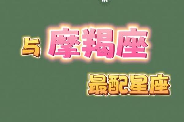 摩羯座最喜欢的5个星座 摩羯座最讨厌的5个星座 摩羯座最喜欢的5个星座 摩羯座最讨厌的5个星座