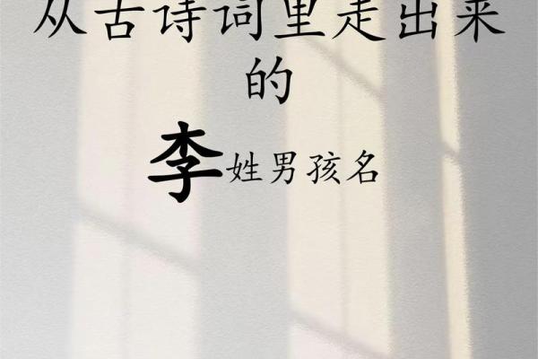 李姓男孩名字大全-李姓男孩起名字大全-李姓名字大全姓名