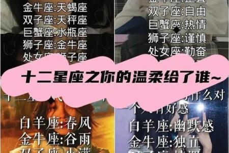 十二星座谁的脸型最美