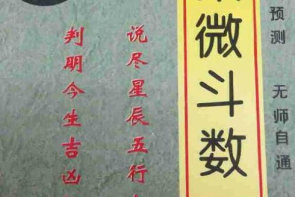 紫薇斗数全书在线阅读