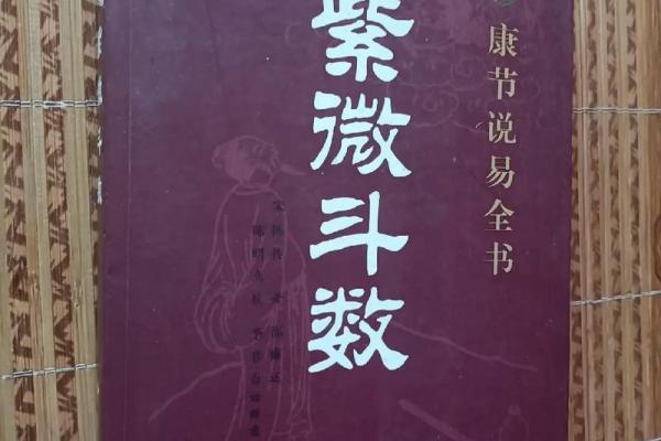 紫薇斗数全书在线阅读