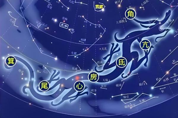 年紫薇星降世 年紫薇星降世