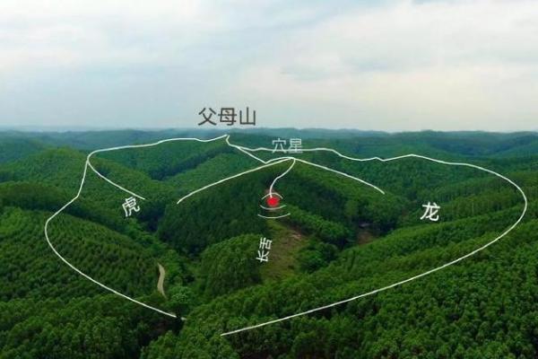 如何看平原坟地风水，风水好坏