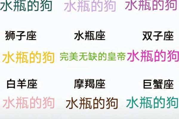 和水瓶座相克的三大星座 和水瓶座能绝配的星座 和水瓶座相克的三大星座 和水瓶座能绝配的星座