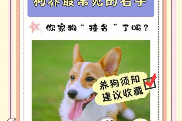 晚上7点出生的属狗男孩怎么取名,用什么字好姓名 晚上7点出生的属狗男孩怎么取名,用什么字好姓名