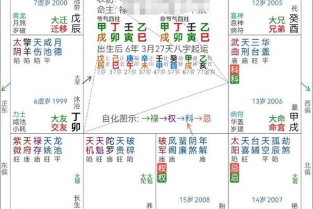 紫微命盘看嫁给一个富裕的家庭和那些紫薇生活盘有一个高贵的丈夫