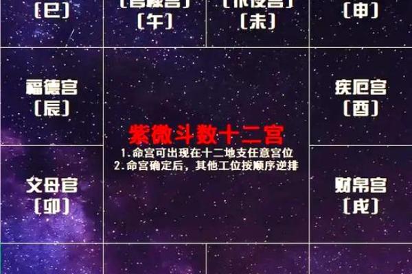 紫微星入命宫与其他星曜之关系分析#紫微斗数教学