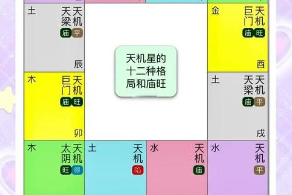 紫微星入命宫与其他星曜之关系分析#紫微斗数教学