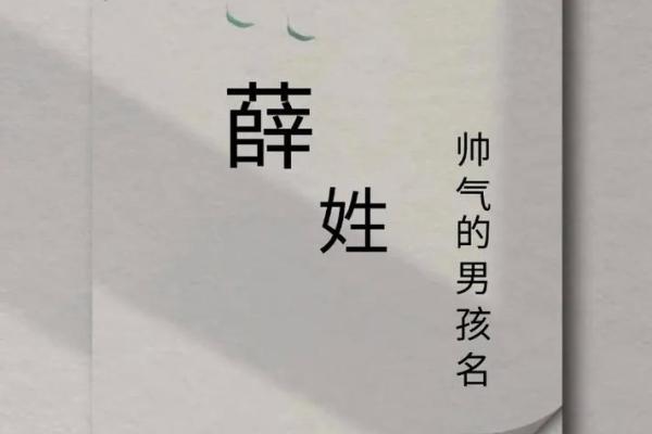 薛姓女孩名字大全-薛姓女孩起名字大全-薛姓名字大全姓名