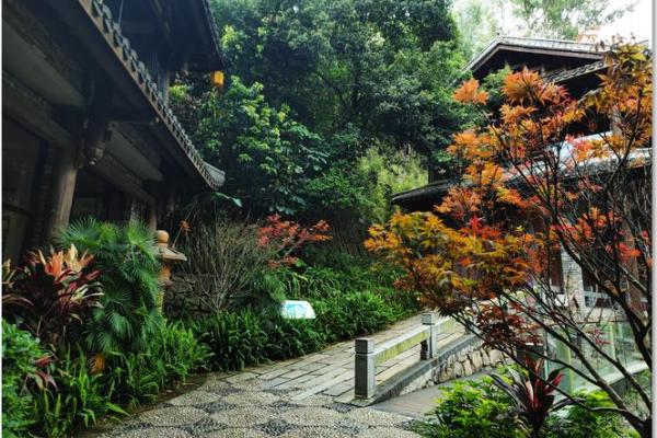 算命花园是什么 算命花园是什么