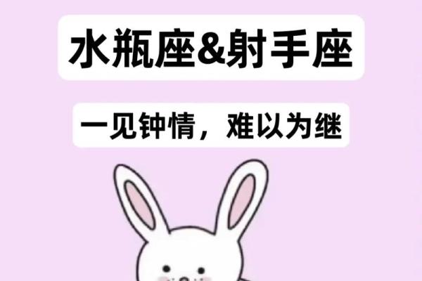 水瓶座和什么星座比较合得来 水瓶座不合的星座