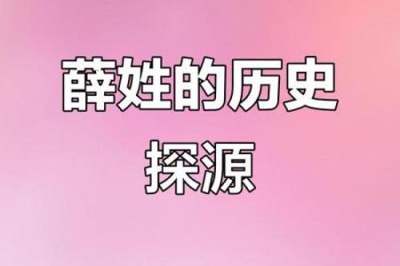 薛姓女孩名字大全-薛姓女孩起名字大全-薛姓名字大全姓名