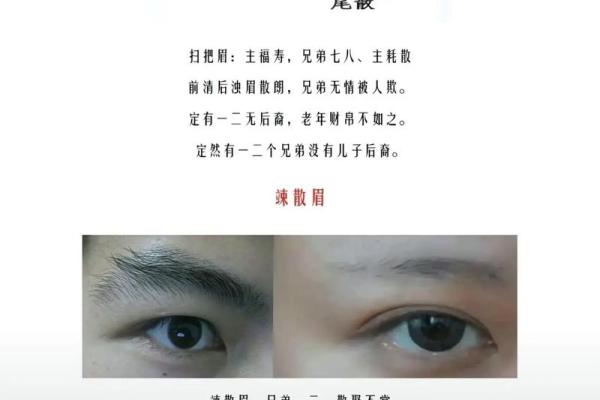 三角眉毛的面相算命图解