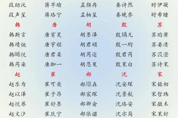 2019年3月17号亥时出生的男孩应该起什么样的名字姓名