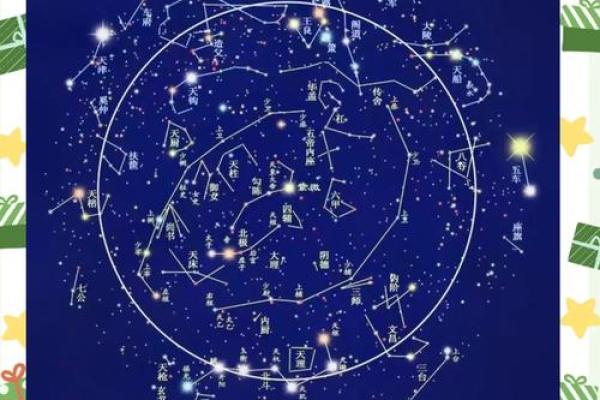 命带紫薇星是什么