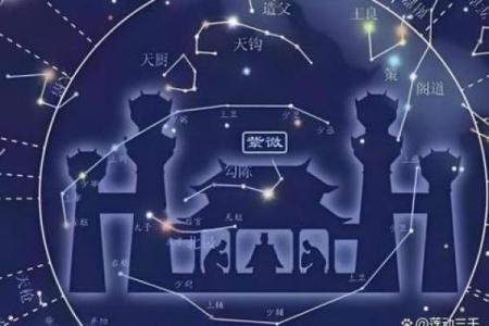 命带紫薇星是什么