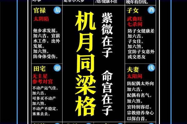 名人紫薇斗数格局