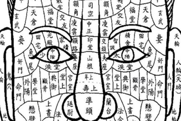 面相算命看法的特征,面相的基本看法 面相算命看法的特征,面相的基本看法