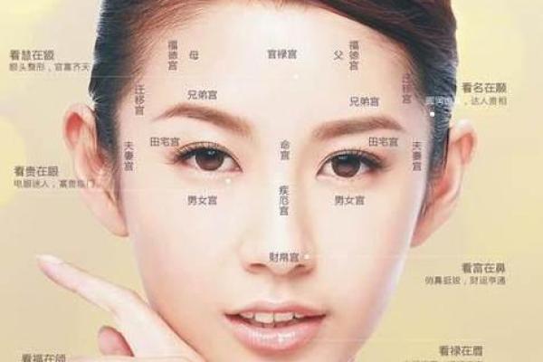 面相算命看法的特征,面相的基本看法 面相算命看法的特征,面相的基本看法
