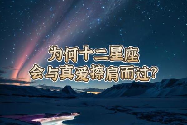 12星座会对谁付出真爱
