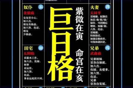 紫薇斗数男命主要看什么宫位