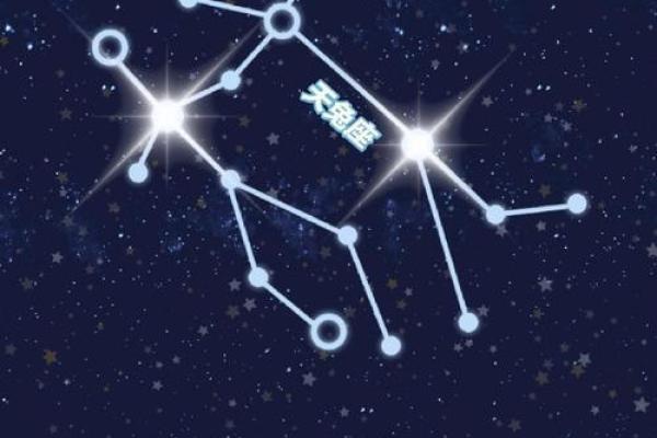 哪个星座能治双子男的 哪个星座能治双子男的