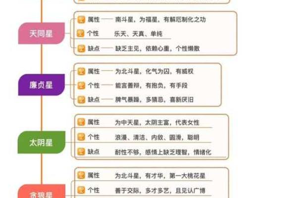 紫薇斗数中的加什么意思