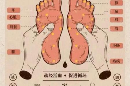 看相算命：详解脚底穴位图