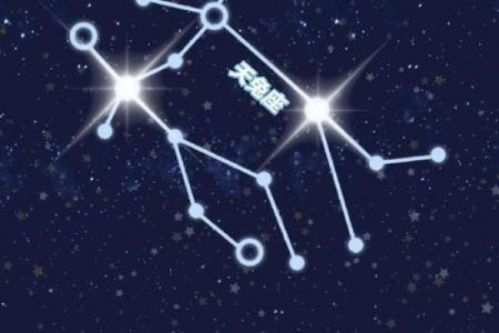 哪个星座能治双子男的