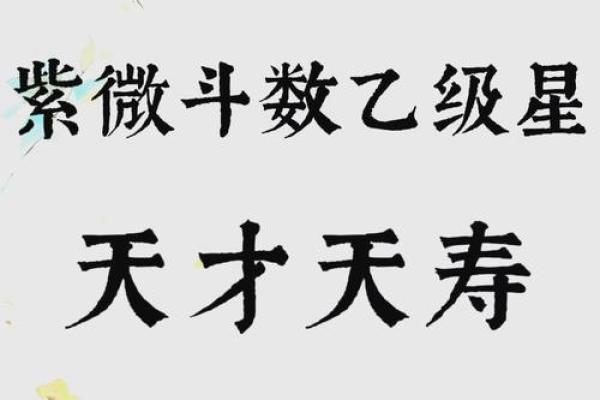 紫薇斗数不得地