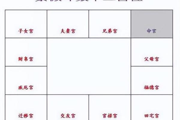 紫薇斗数几号盘