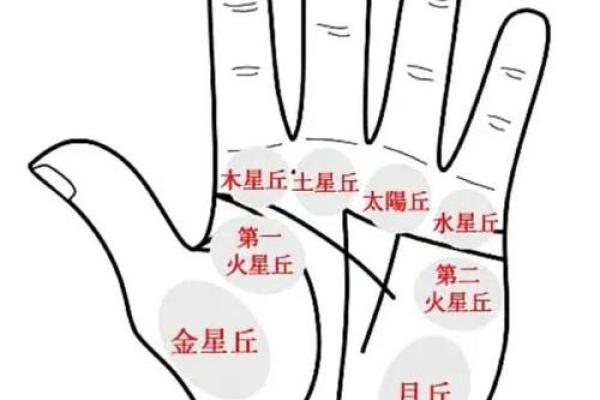 图解：手相土星环算命