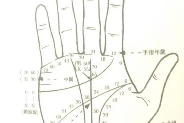 手相算命话语,手相算命说法 手相算命话语,手相算命说法