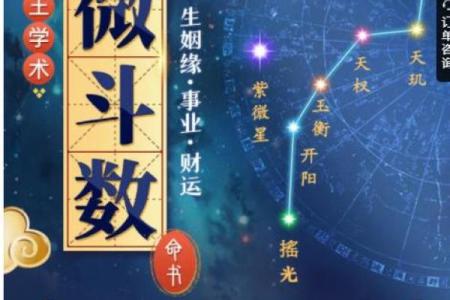 紫微斗数意外 紫微斗数意外伤害？