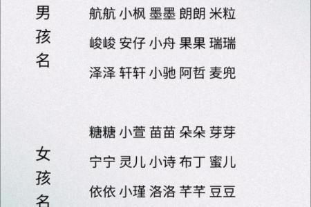 凌晨3点出生的属蛇男孩如何起名，宜用什么字姓名